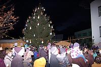 dsc 2178
