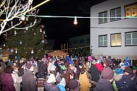 dsc 2184